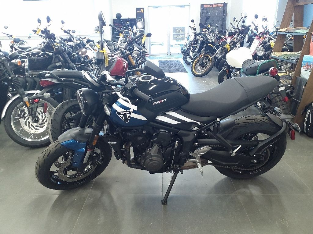 2025 Triumph TRIDENT 660 660 in Augusta, ME