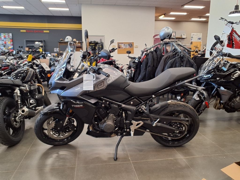 2025 Triumph TIGER SPT 660 BASE in Augusta, ME