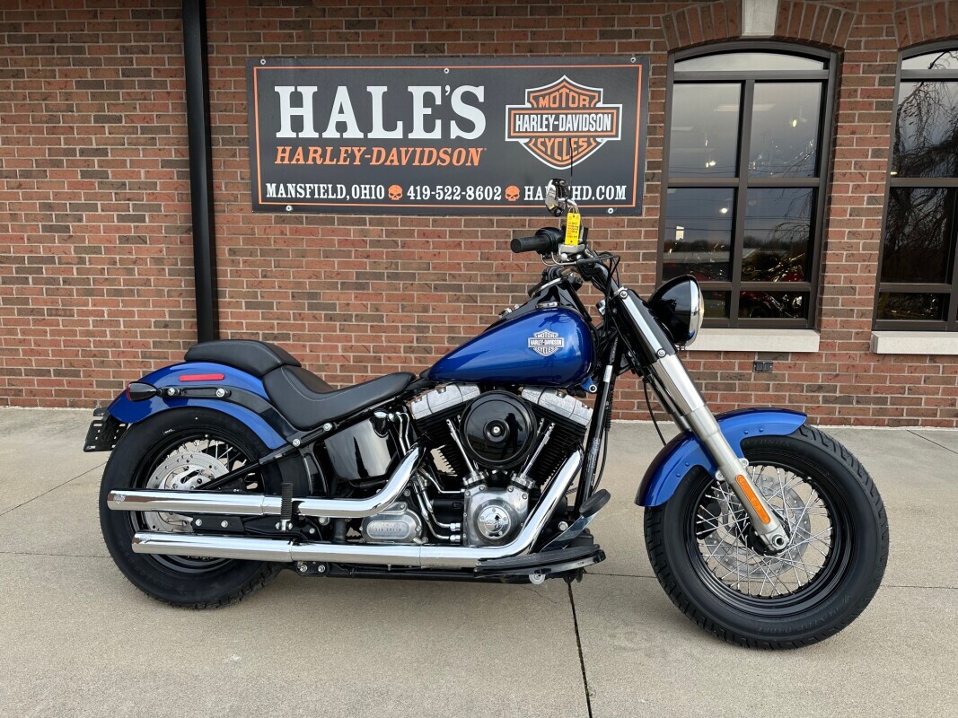 2015 Harley-Davidson Softail Slim SLIM in Mansfield, OH