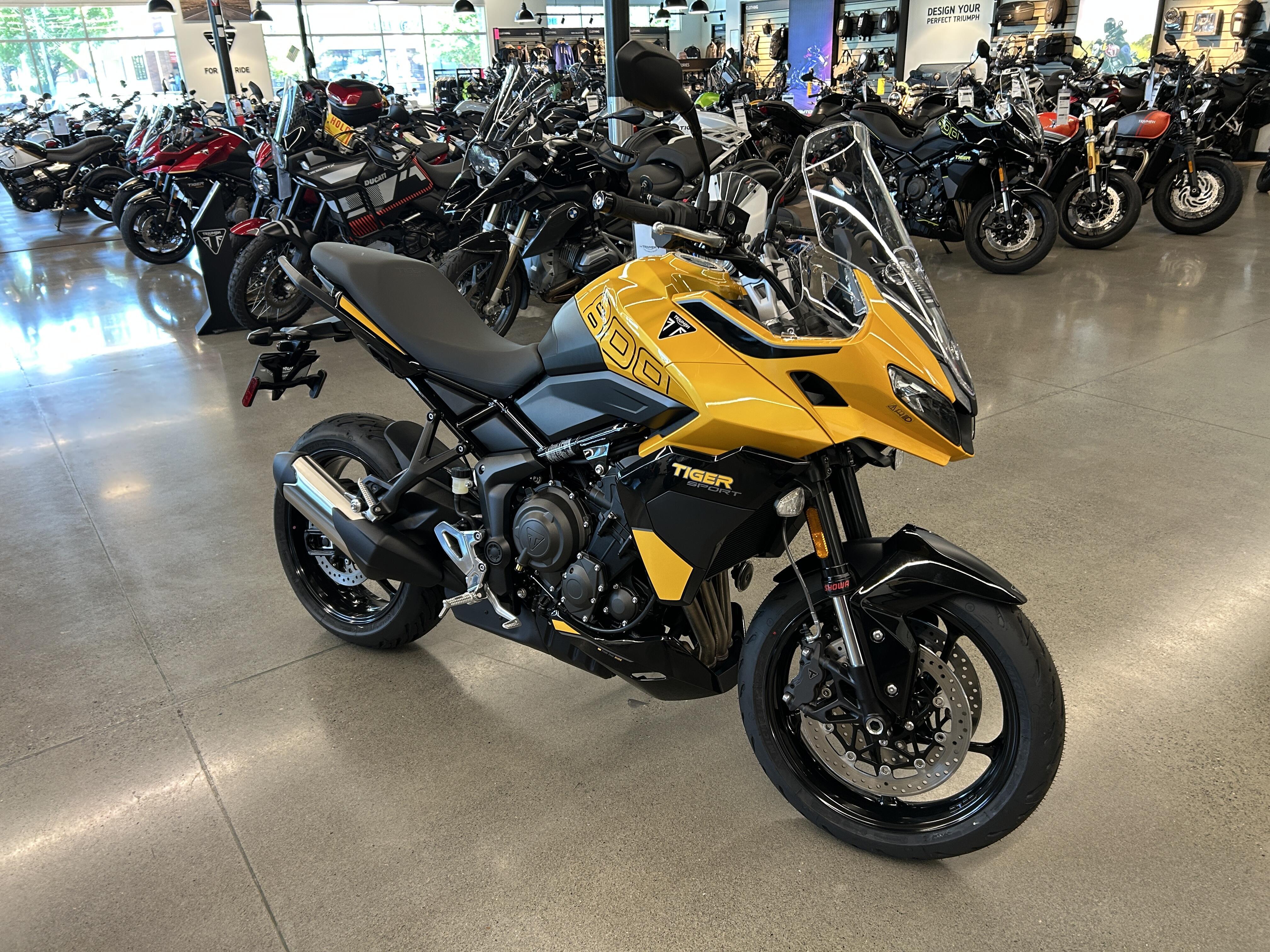 2026 Triumph TIGER SPORT 800 800 in Portland, OR