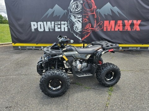 2026 Denago Powersports Trailhawk 10FI in taylorsville NC