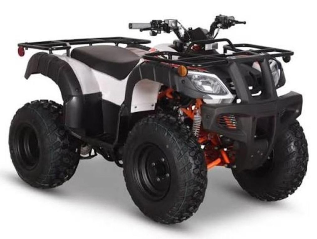 2026 Kayo Bull 150 EFI 150 in Jacksonville, FL