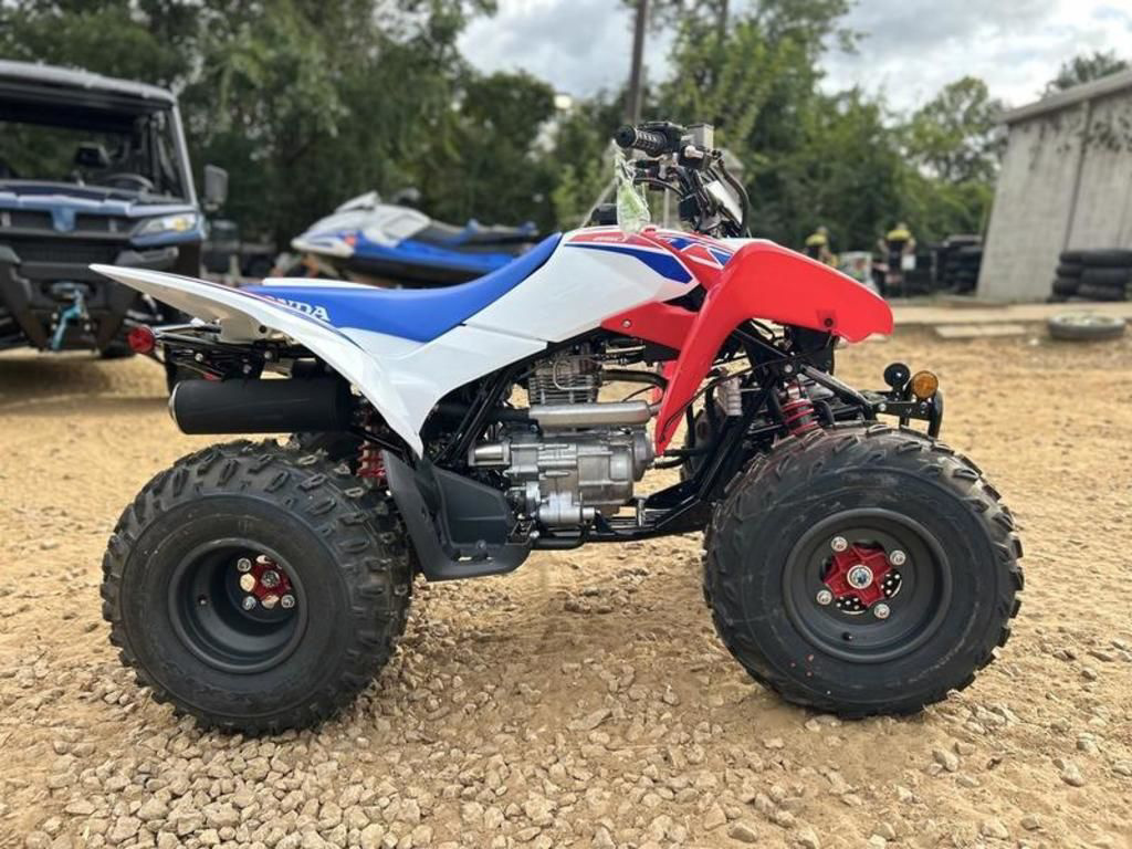 2026 Honda TRX 250X in tallahassee FL