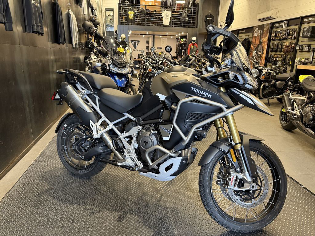 2024 Triumph 1200 Rally Explorer in Brooklyn, NY