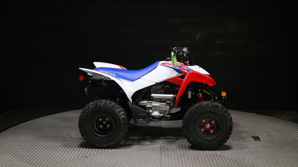 2026 Honda® TRX250X in paris TX