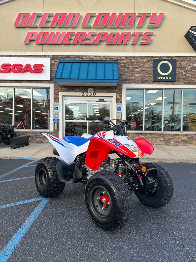 2026 Honda® TRX250X in toms river NJ
