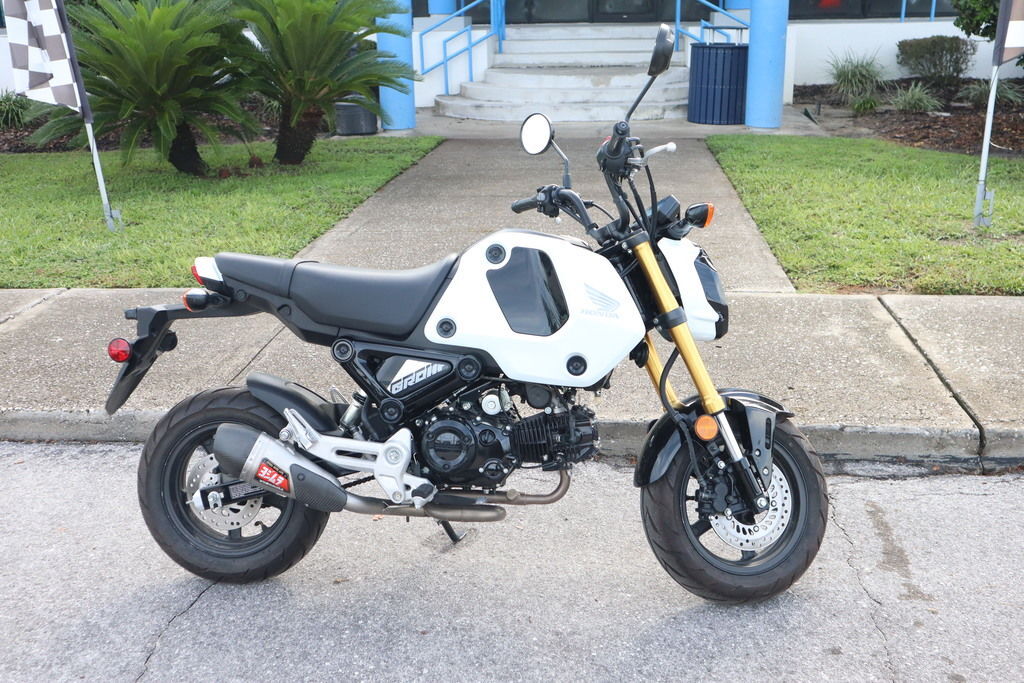 2024 Honda® Grom in Homosassa, FL
