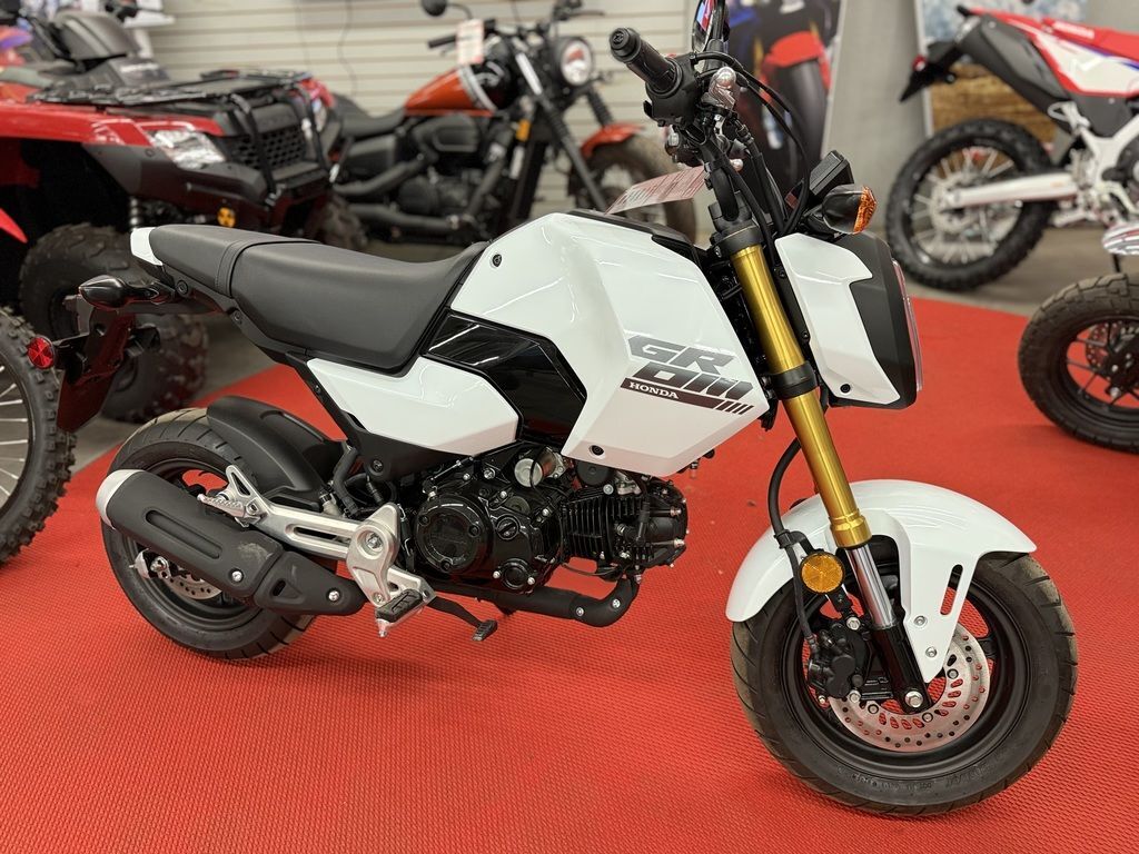 2025 Honda® Grom in Parker, AZ
