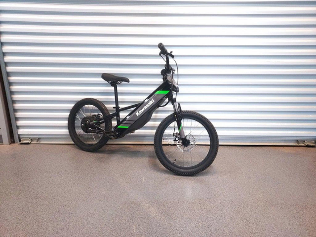 2025 Kawasaki Elektrode® 20 in Americus, GA