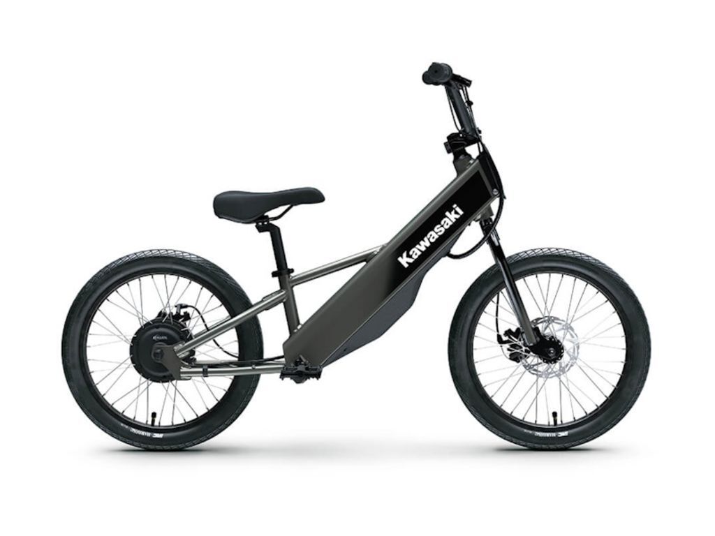 2025 Kawasaki Elektrode® 20FS in Massapequa, NY