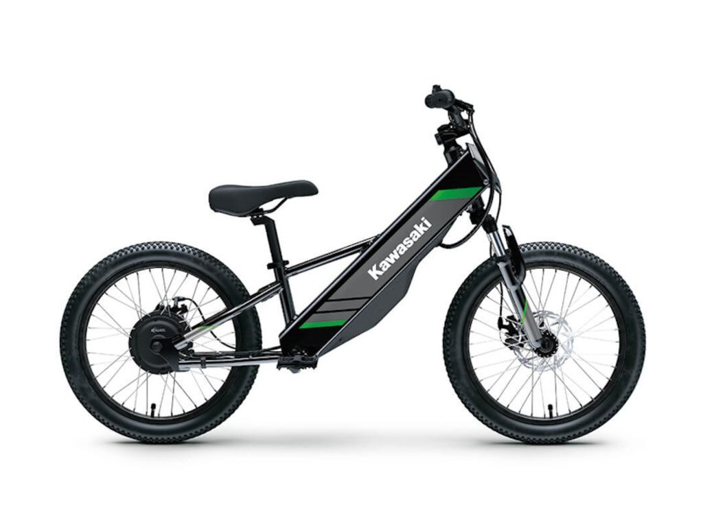 2025 Kawasaki Elektrode® 20 in Massapequa, NY
