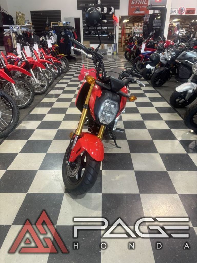 2025 Honda® Grom in Page, AZ