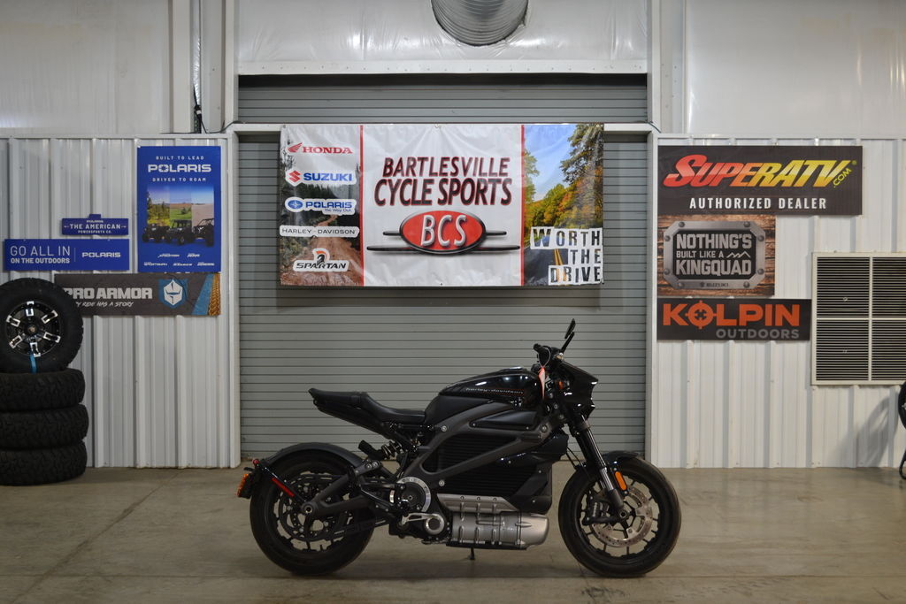 2020 Harley-Davidson® ELW - LiveWire ELW in Bartlesville, OK