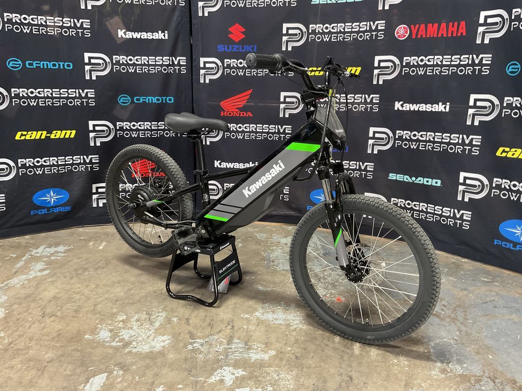 2025 Kawasaki Elektrode® 20 in Sherman, TX