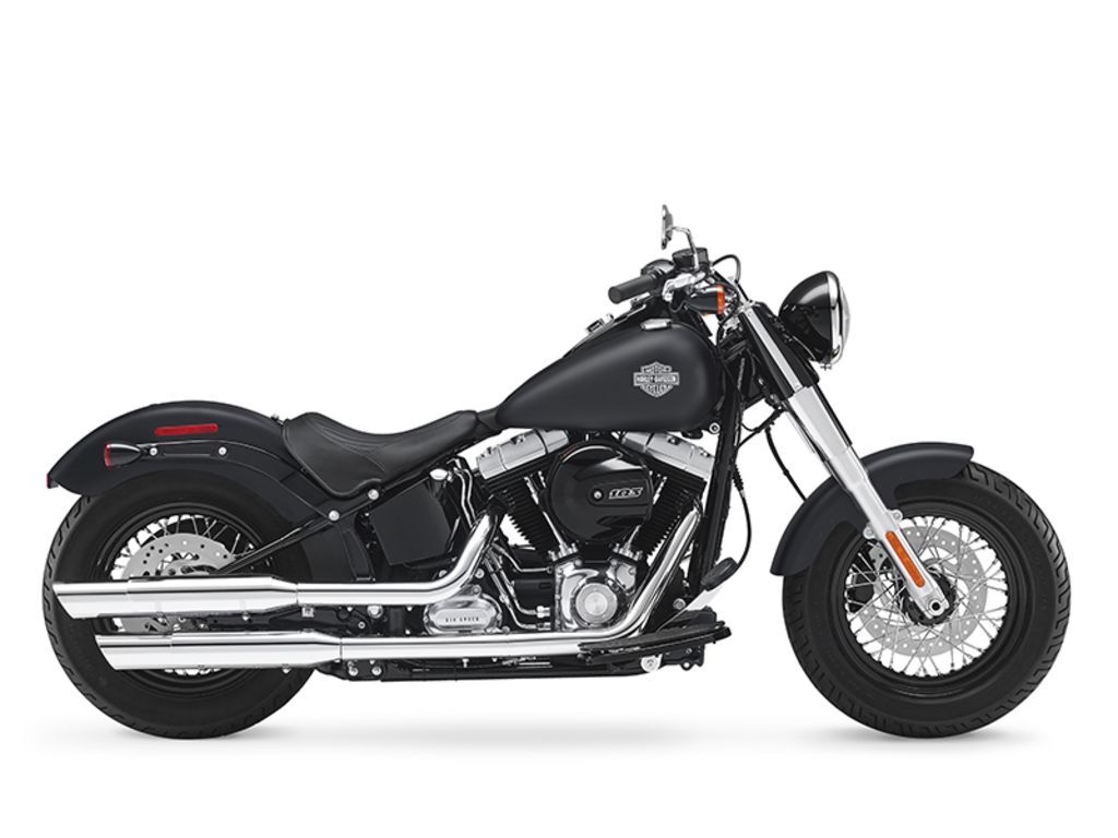 2017 Harley-Davidson® FLS - Softail® Slim® SLIM in Marysville, OH