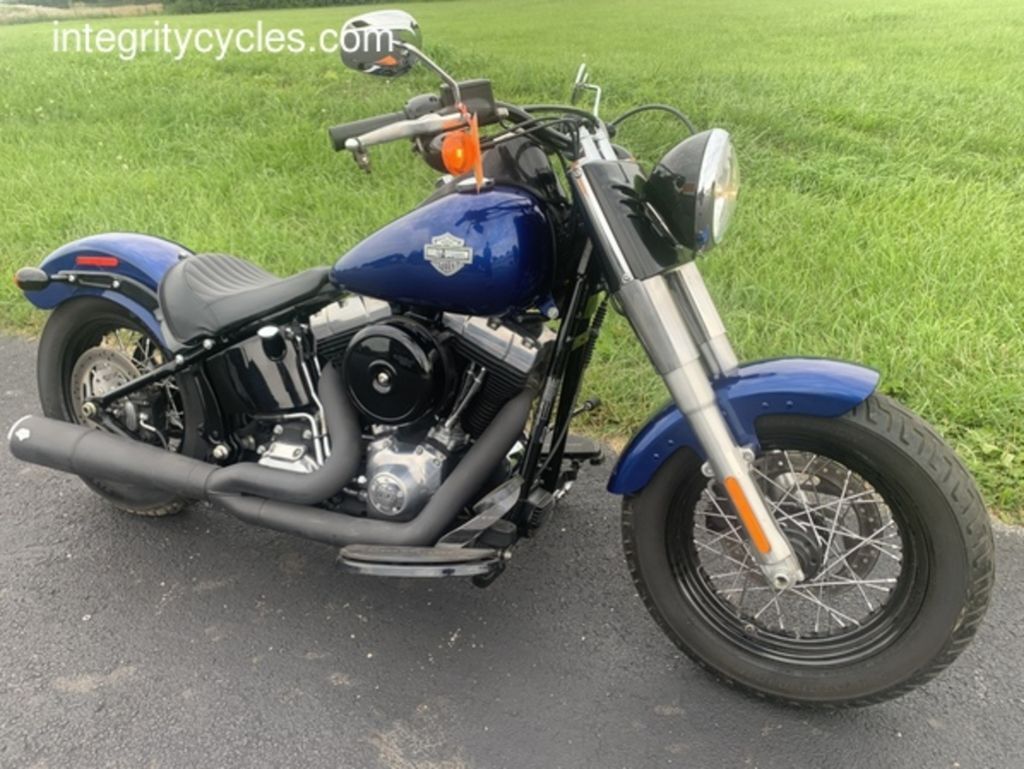 2015 Harley-Davidson® FLS - Softail Slim® SLIM in Lewis Center, OH