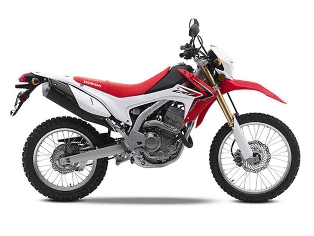 2015 Honda® CRF250L 250L in Florence, AL