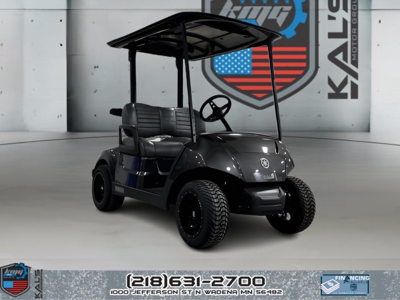 2019 Yamaha Drive 2 Electric NEW Batteries PTV ELECTRIC in wadena MN