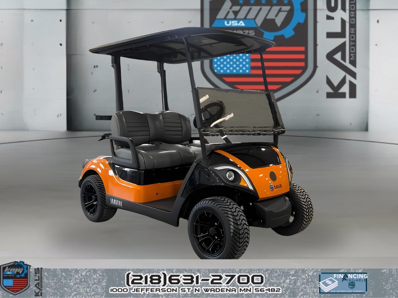 2019 Yamaha Drive 2 Electric NEW Batteries PTV ELECTRIC in wadena MN