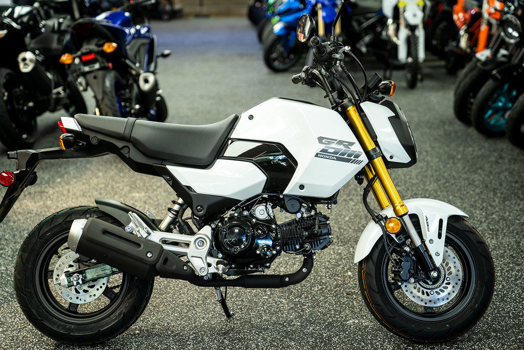 2025 Honda® Grom ABS ABS in Upper Darby, PA