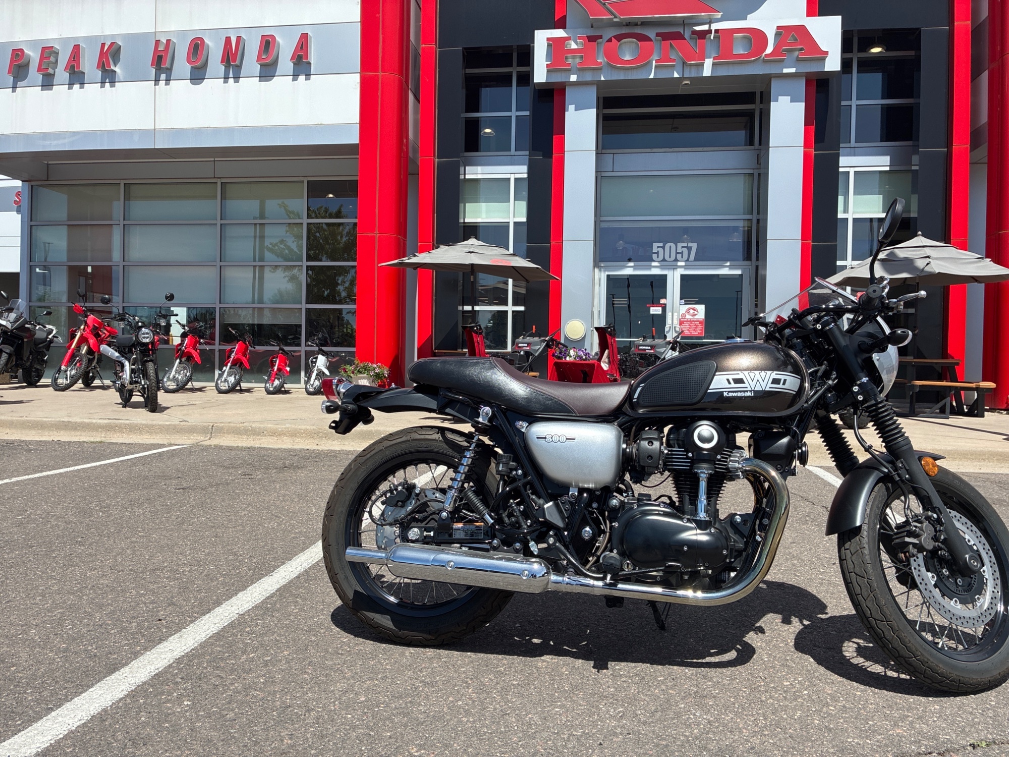 2019 Kawasaki W800 BASE in Littleton, CO