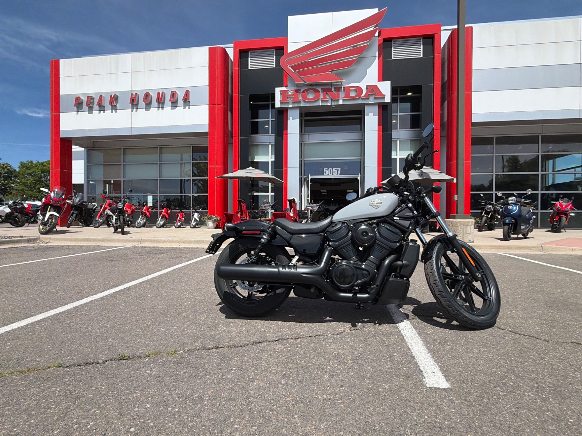 2025 Harley-Davidson Nightster in Littleton, CO