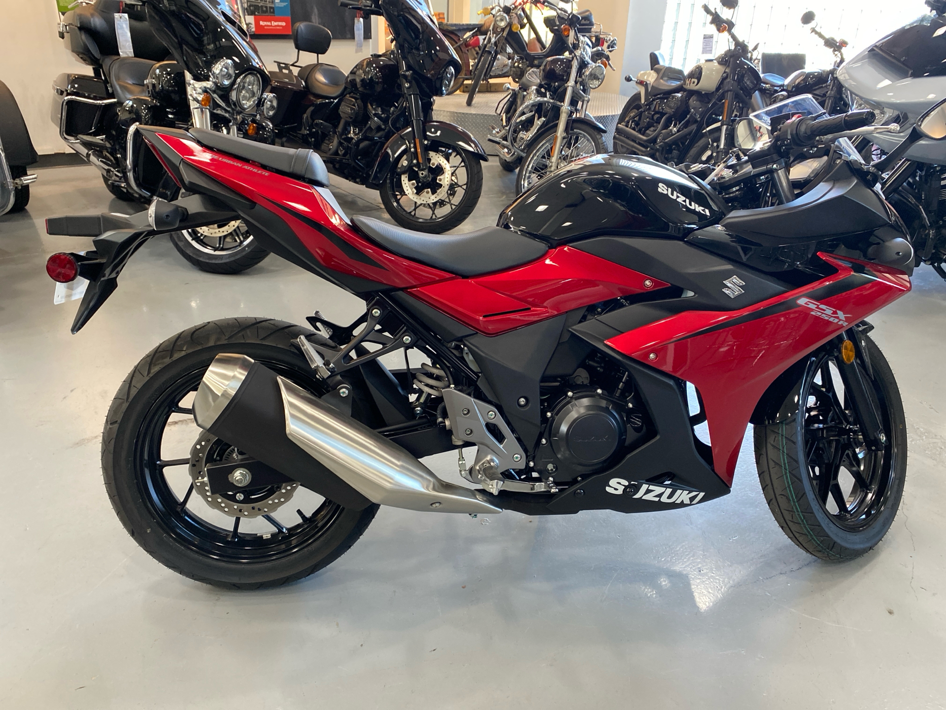 2025 Suzuki GSX250R ABS 250R in Savannah, GA