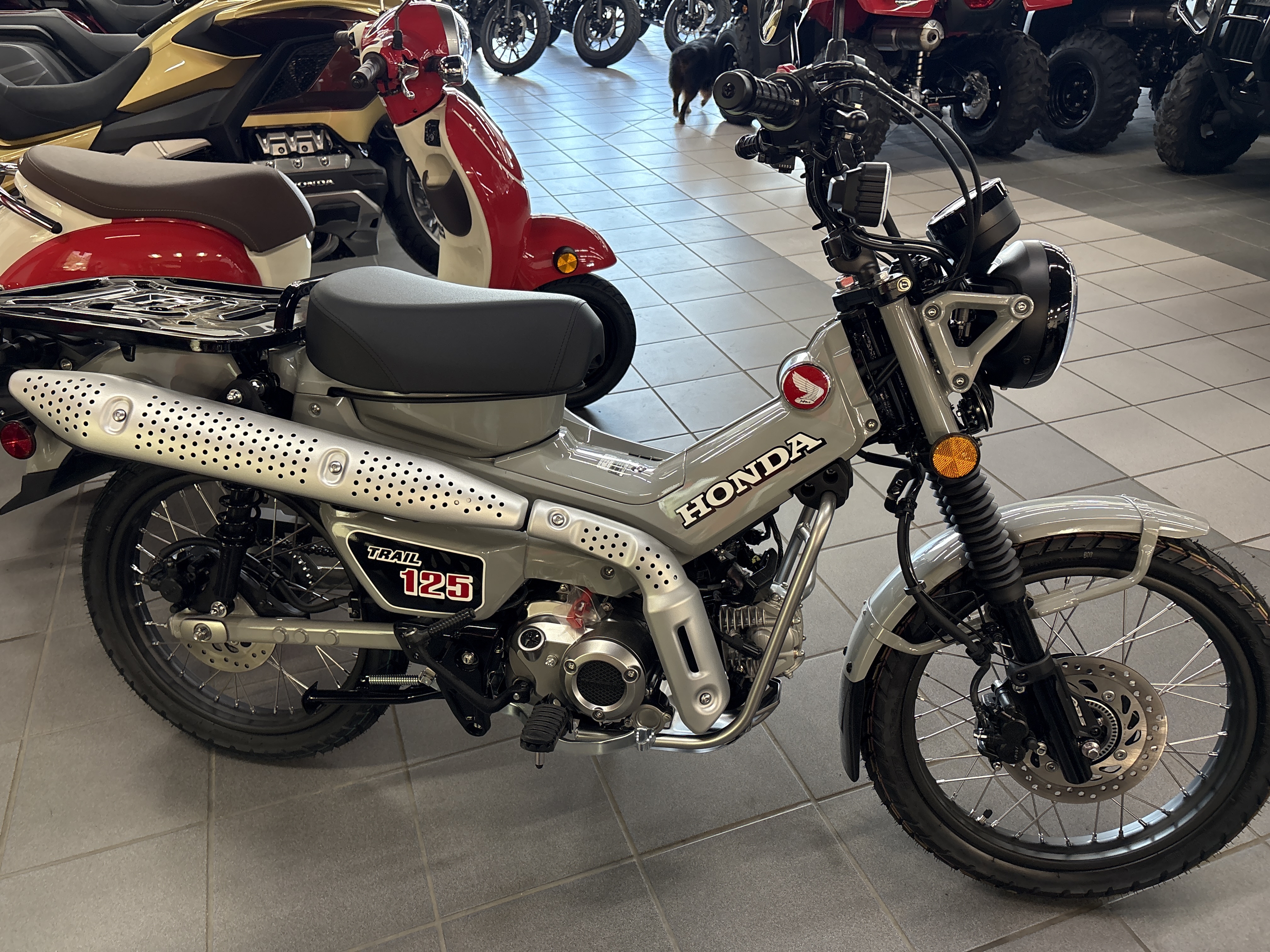2025 Honda TRAIL 125 125 in Columbia, MO