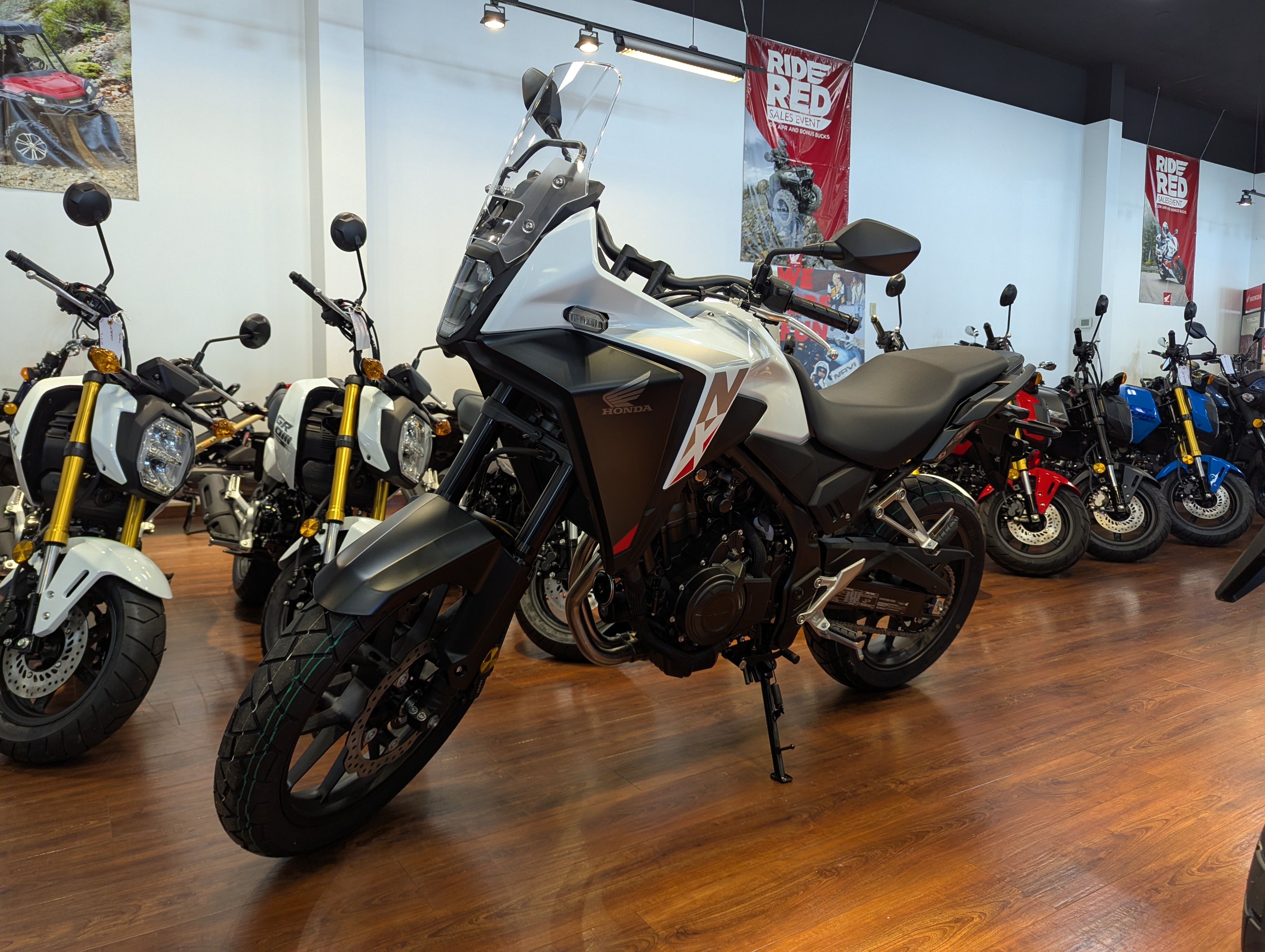 2025 Honda NX500 ABS ABS in Winchester, VA