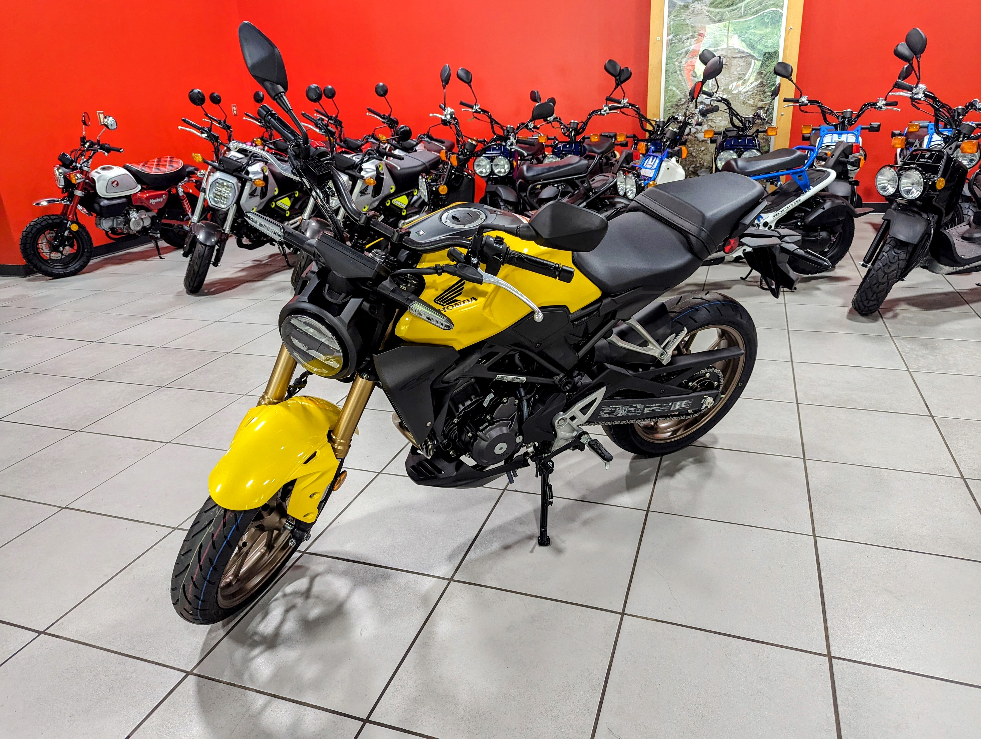 2025 Honda CB300R ABS 300R ABS in Winchester, VA