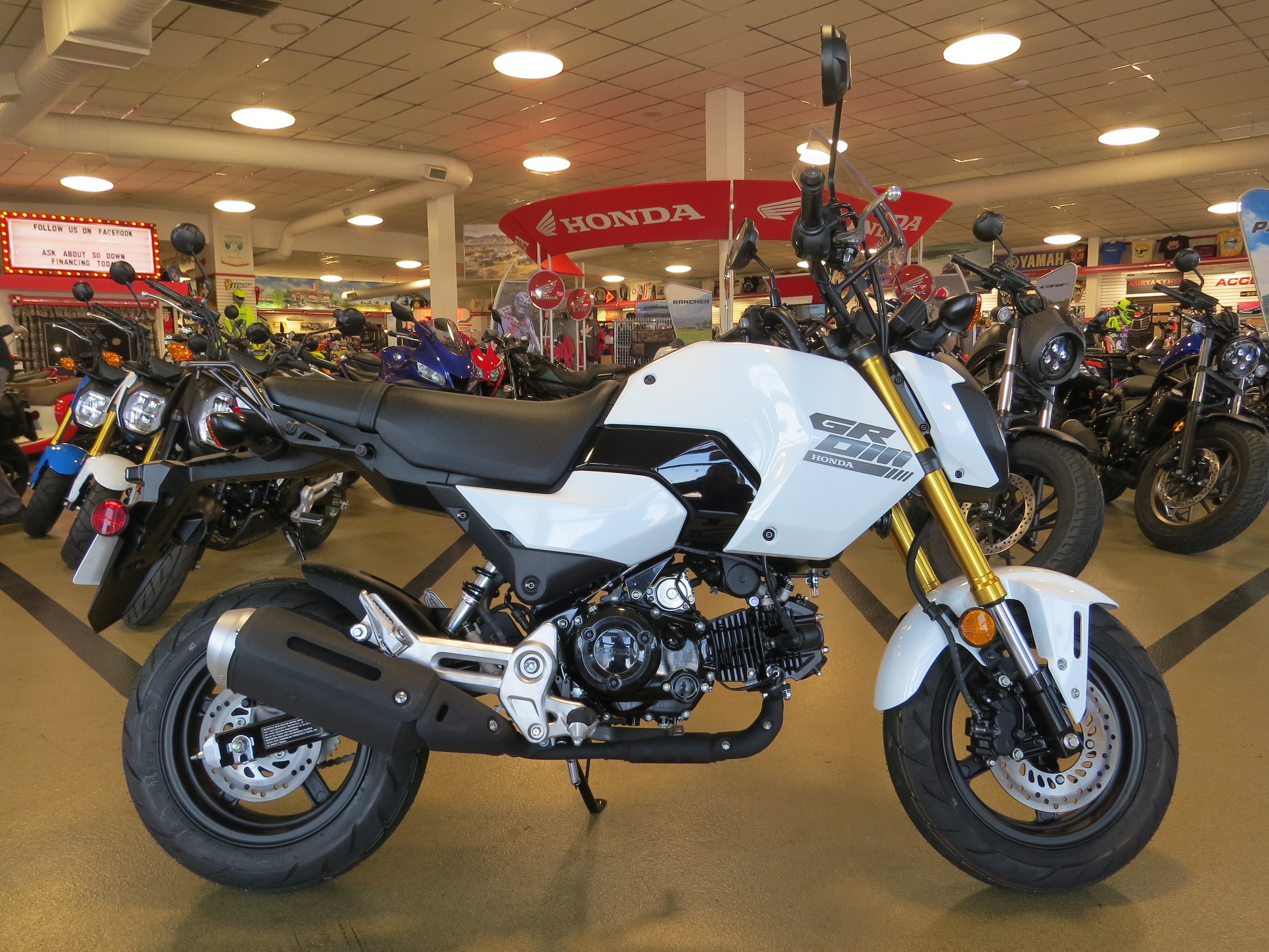 2025 Honda Grom in Litchfield, IL