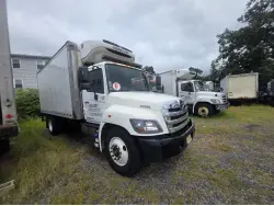 2019 HINO 258/268