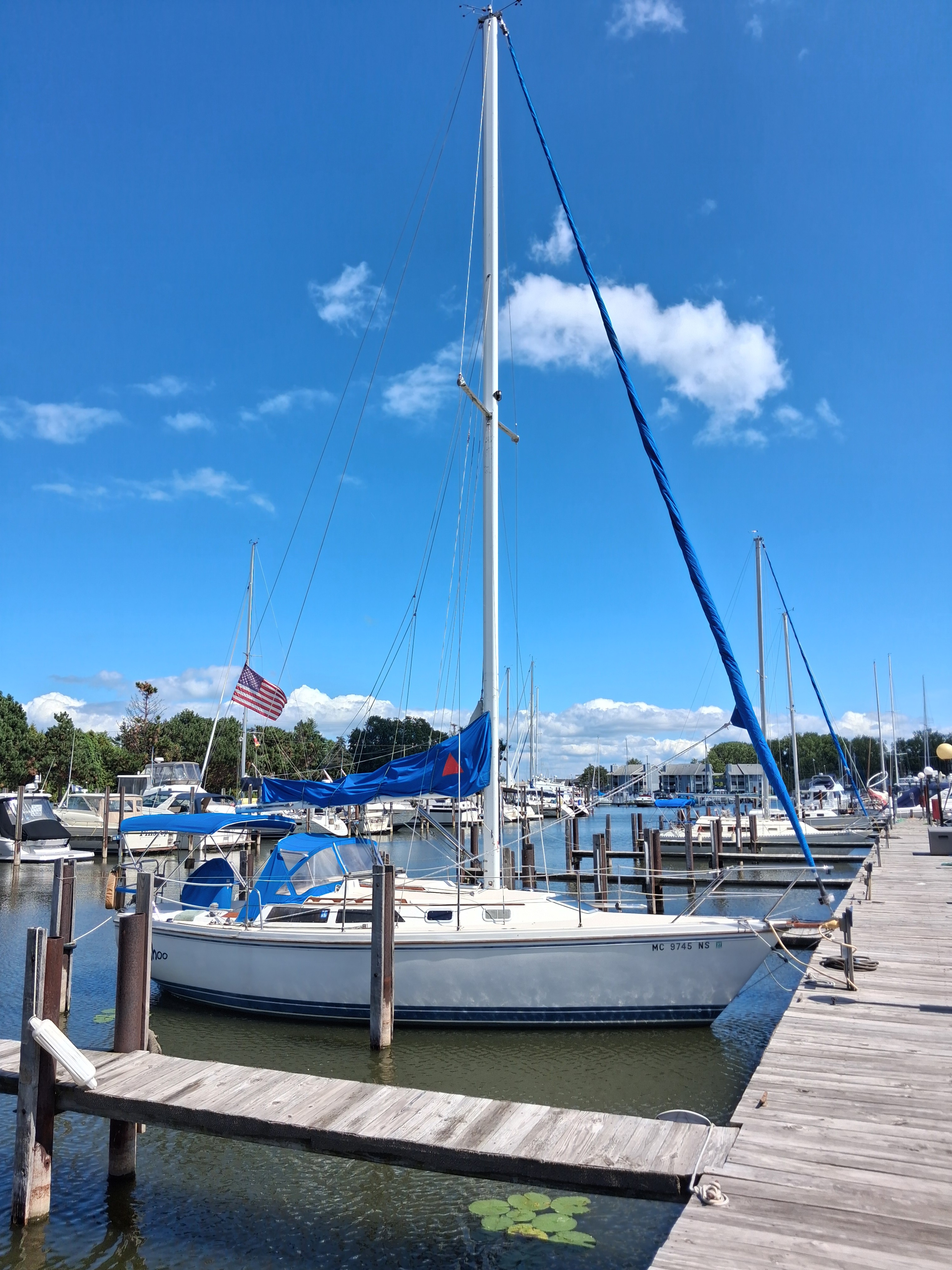 1989 Catalina CATALINA in marine city MI