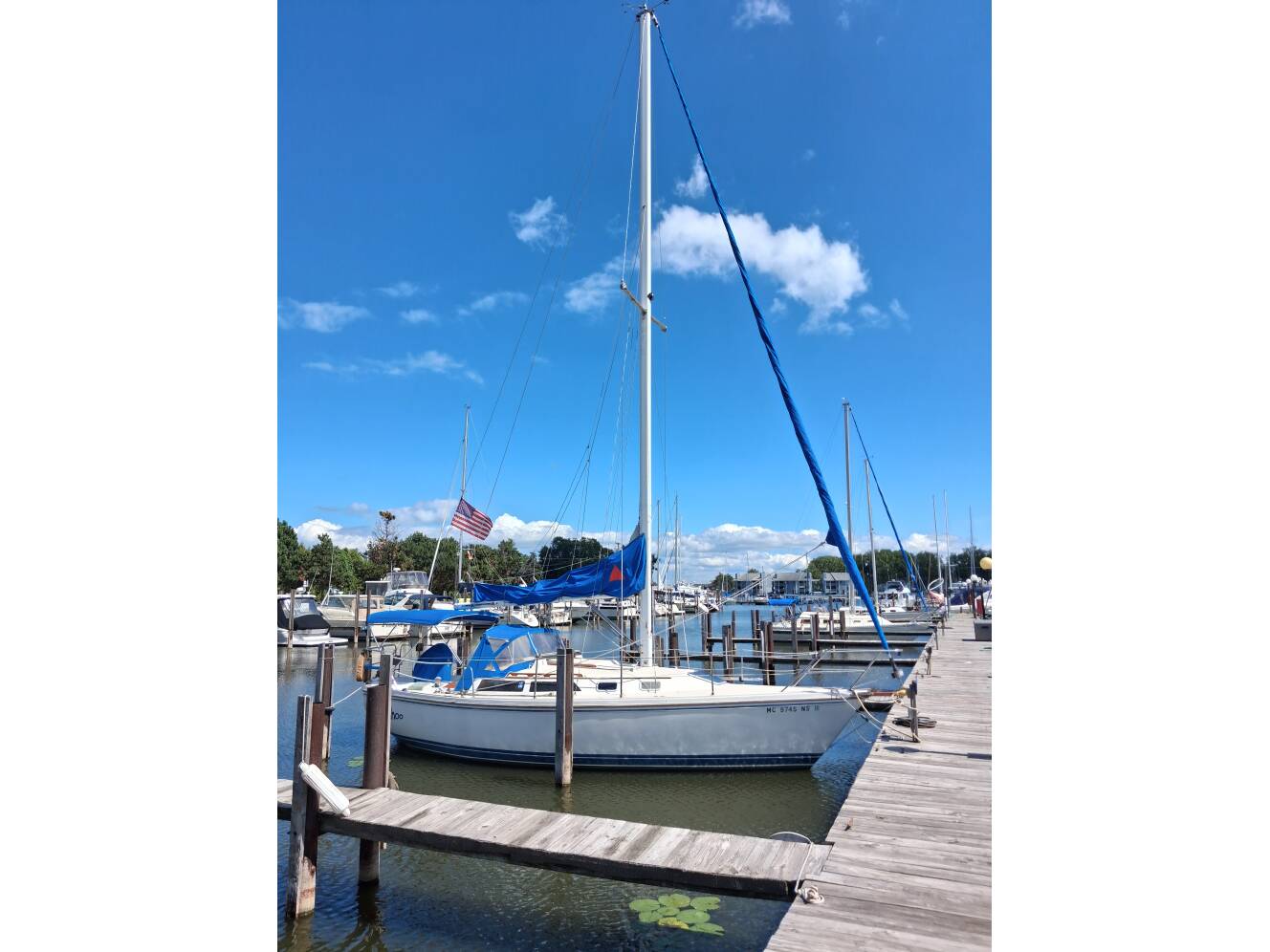 A photo of this 1989 Catalina CATALINA
