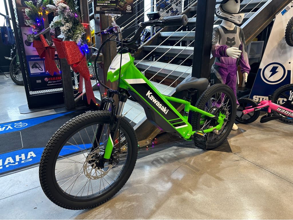2025 Kawasaki Elektrode 20 in Grand Junction, CO