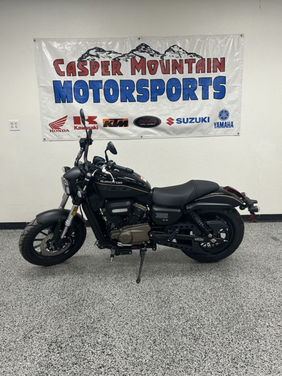 2023 Qjmotor SRV300 in Casper, WY