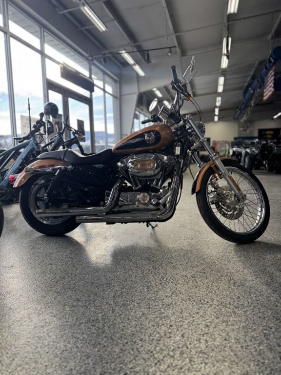 2008 Harley-Davidson Sportster XL1200C - 1200 Custom 105Th Anniversary XL1200C in Casper, WY