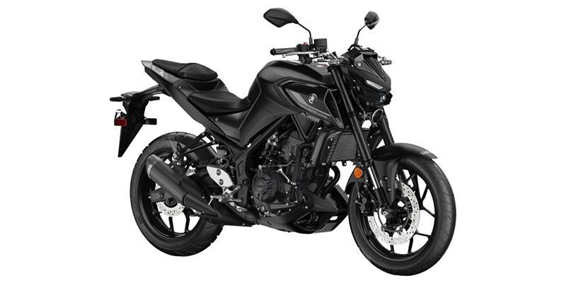 2024 Yamaha MT 03 03 in Woodbridge, VA