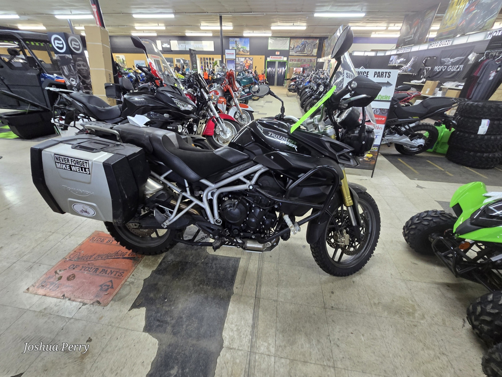2011 Triumph Tiger 800 ABS 800 ABS in Mt. Sterling, KY