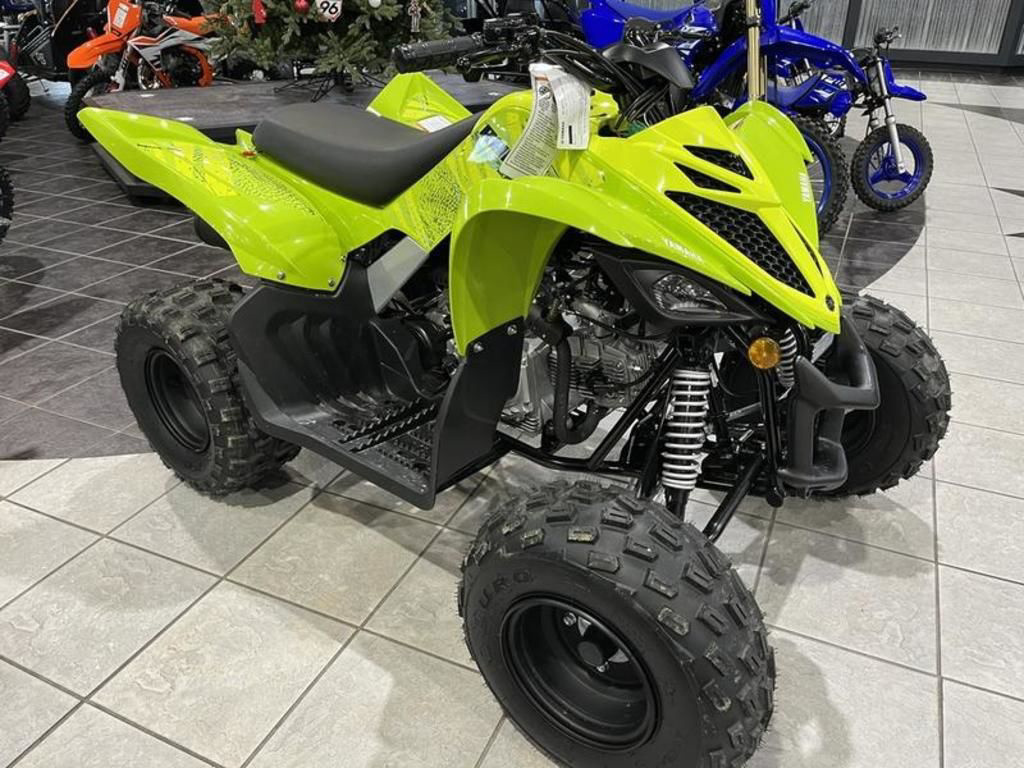 2026 Yamaha Raptor 110 in myrtle beach SC