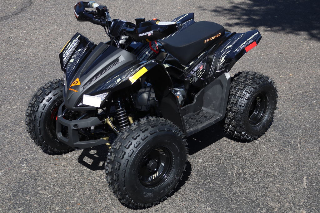 2026 Denago Powersports Trailhawk 10FI in goodyear AZ