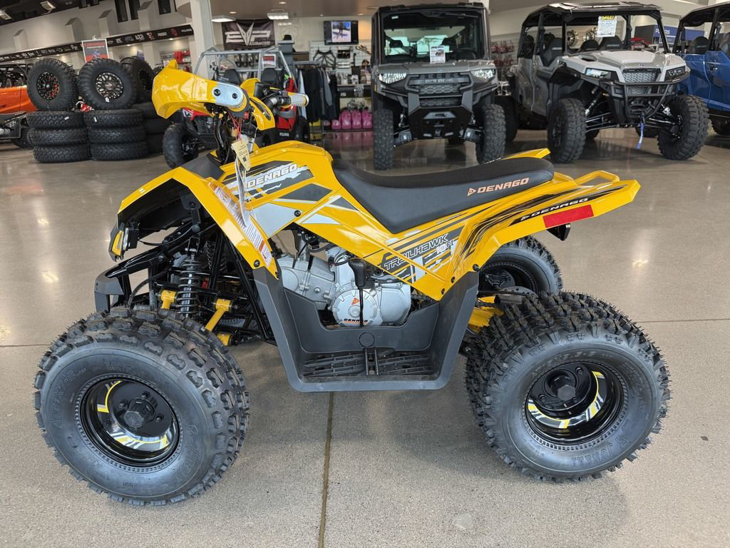 2026 Denago Powersports Trailhawk 10FI in apache junction AZ
