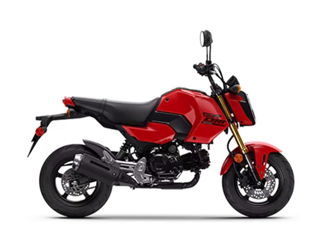 2025 Honda® Grom in Millstone, NJ