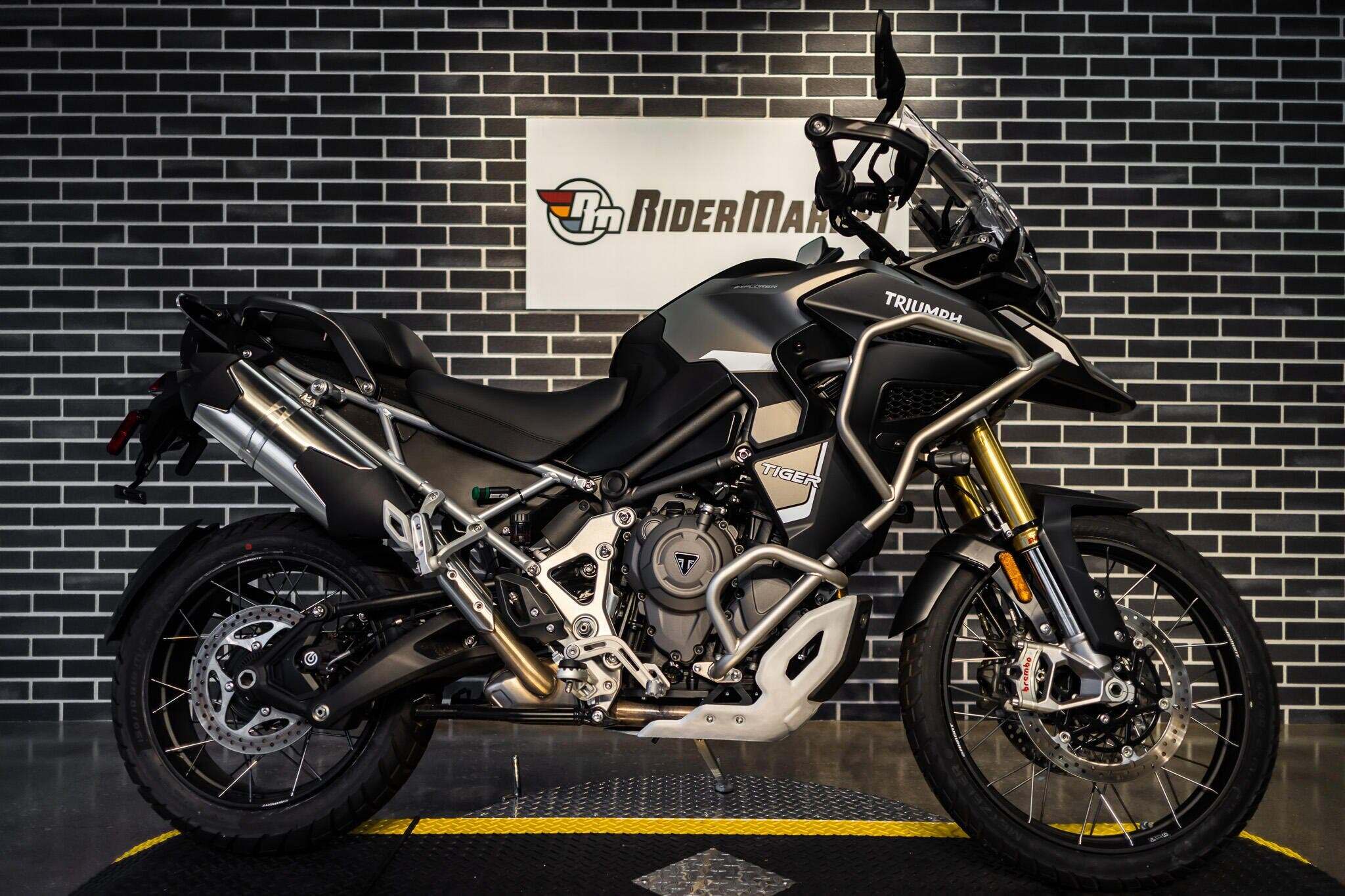 2024 Triumph Tiger 1200 Rally Explorer RALLY EXPLORER in Ormond Beach, FL