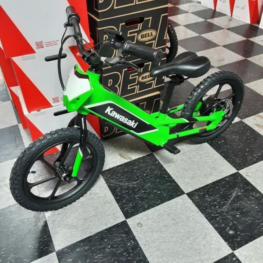 2023 Kawasaki Elektrode in Belleville, NJ