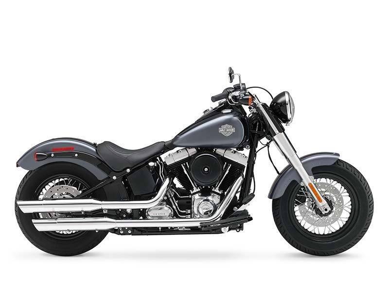 2015 Harley-Davidson Softail Slim® SLIM in South Haven, MI