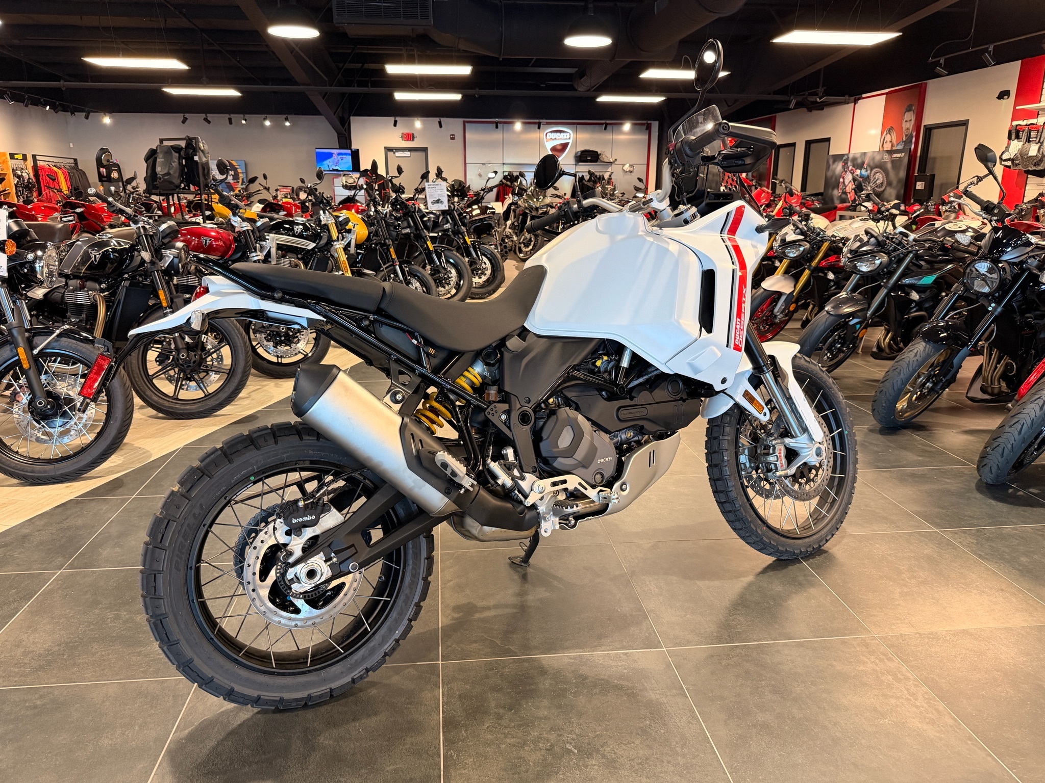 2026 Ducati DesertX in Chattanooga, TN