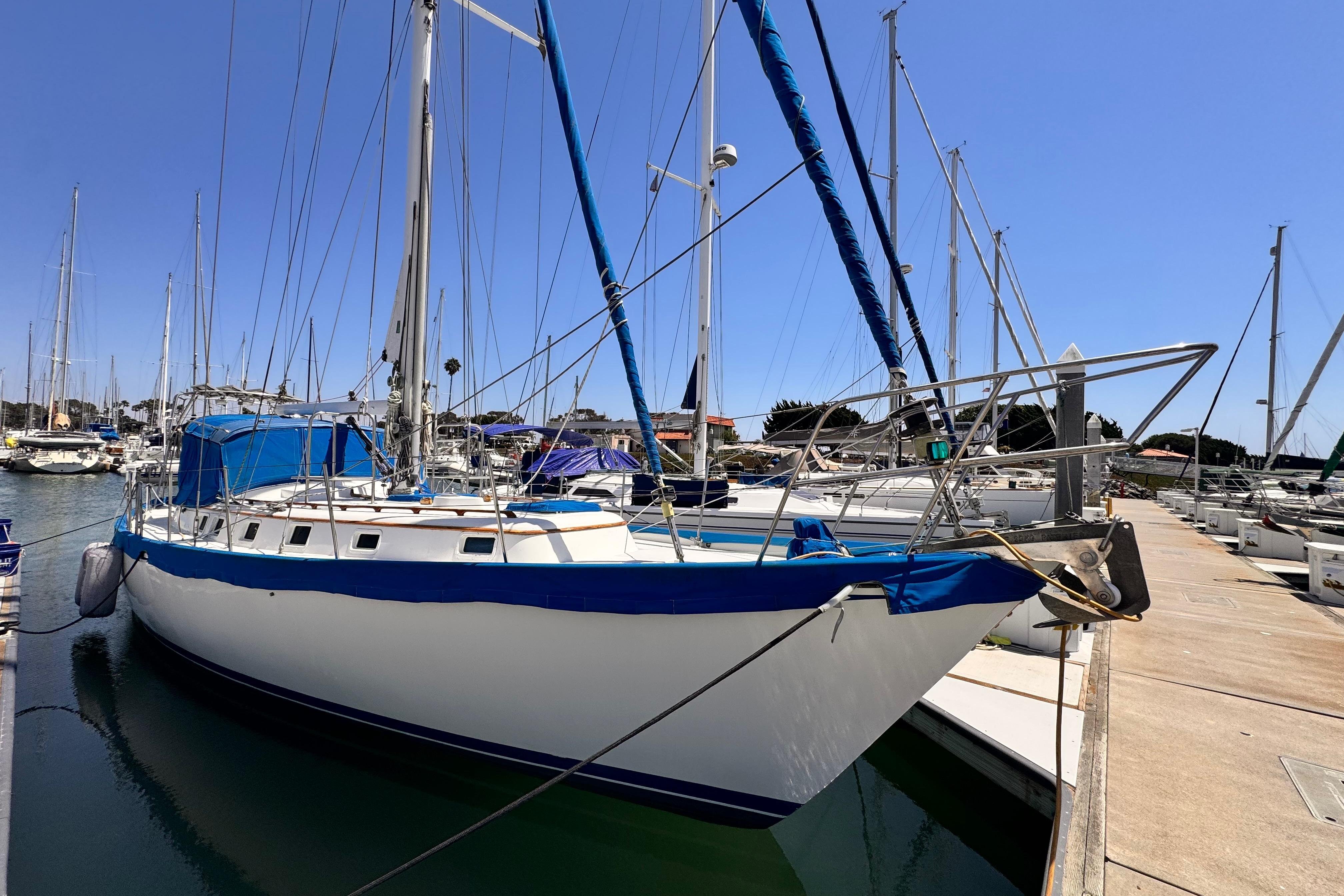 1982 Kelly Peterson 46 in oxnard CA