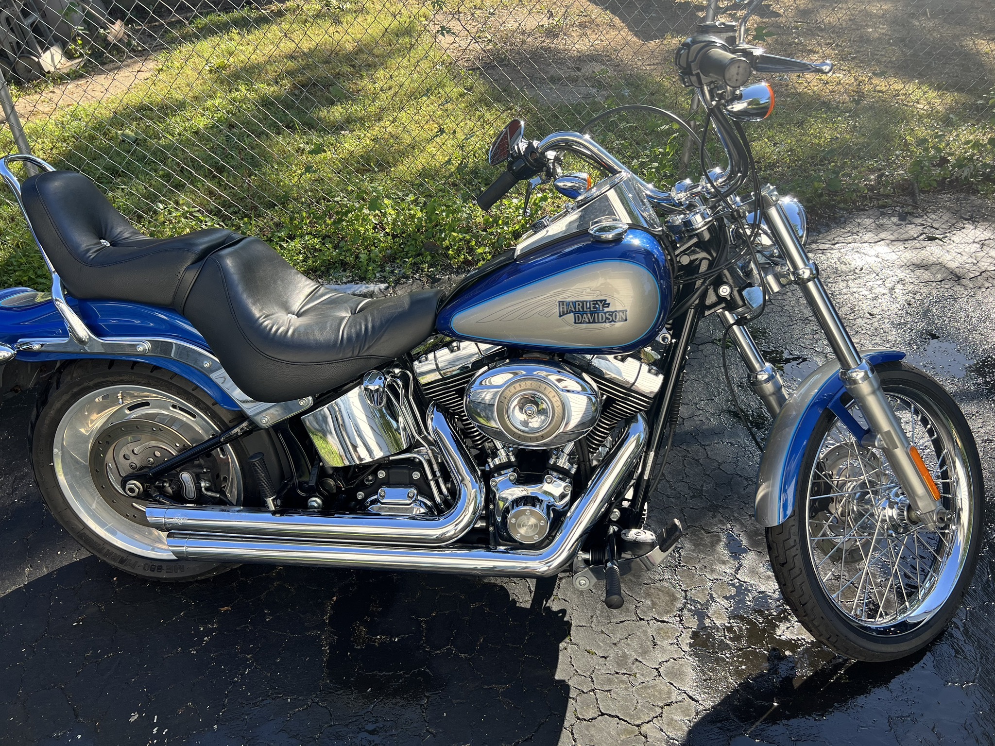 2009 Harley-Davidson SOFTAIL CUSTOM in elkridge MD
