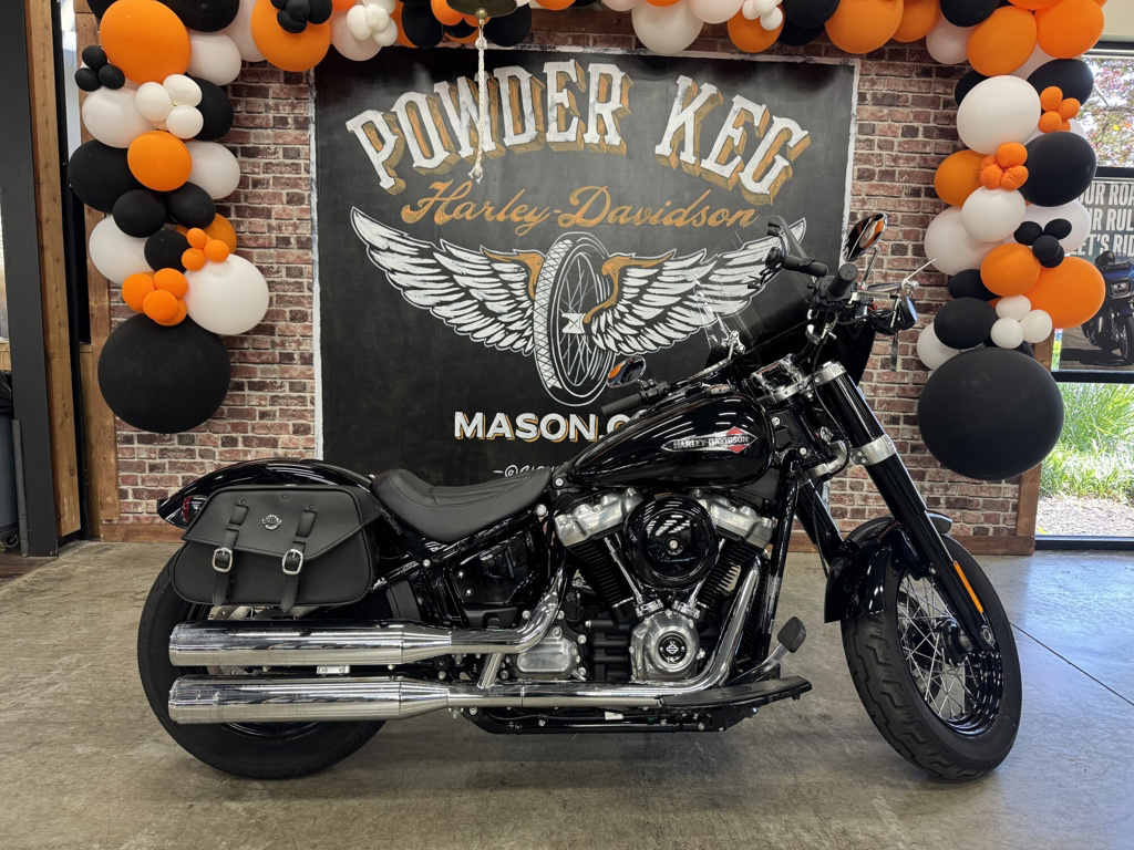 2020 Harley-Davidson Softail Slim SLIM in Mason, OH